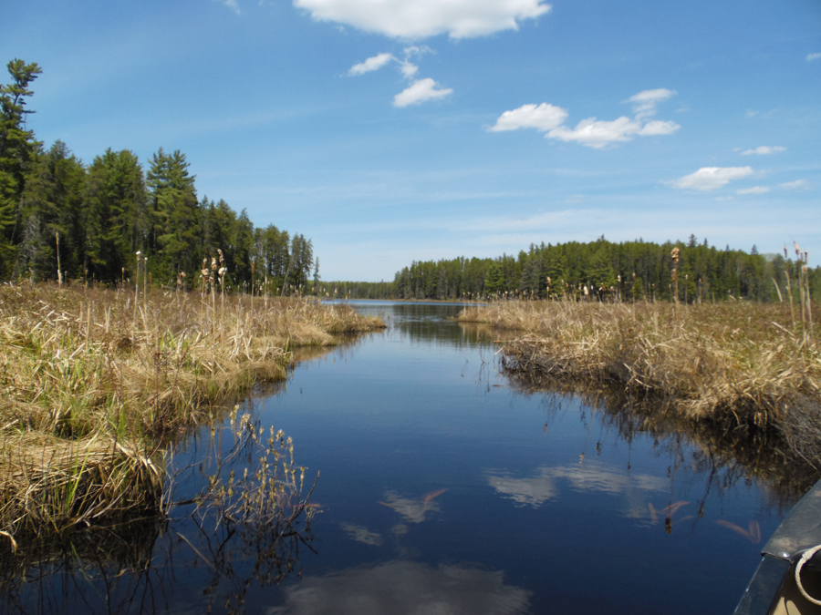 Slowfoot Creek in the BWCA Drag Lake PMA